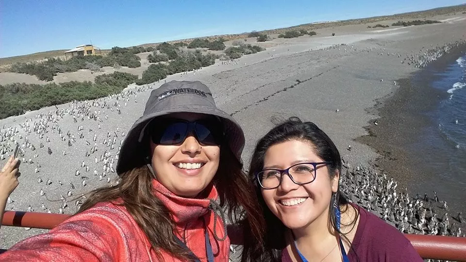 PUNTA TOMBO: LA RESERVA LLENA DE PINGÜINOS