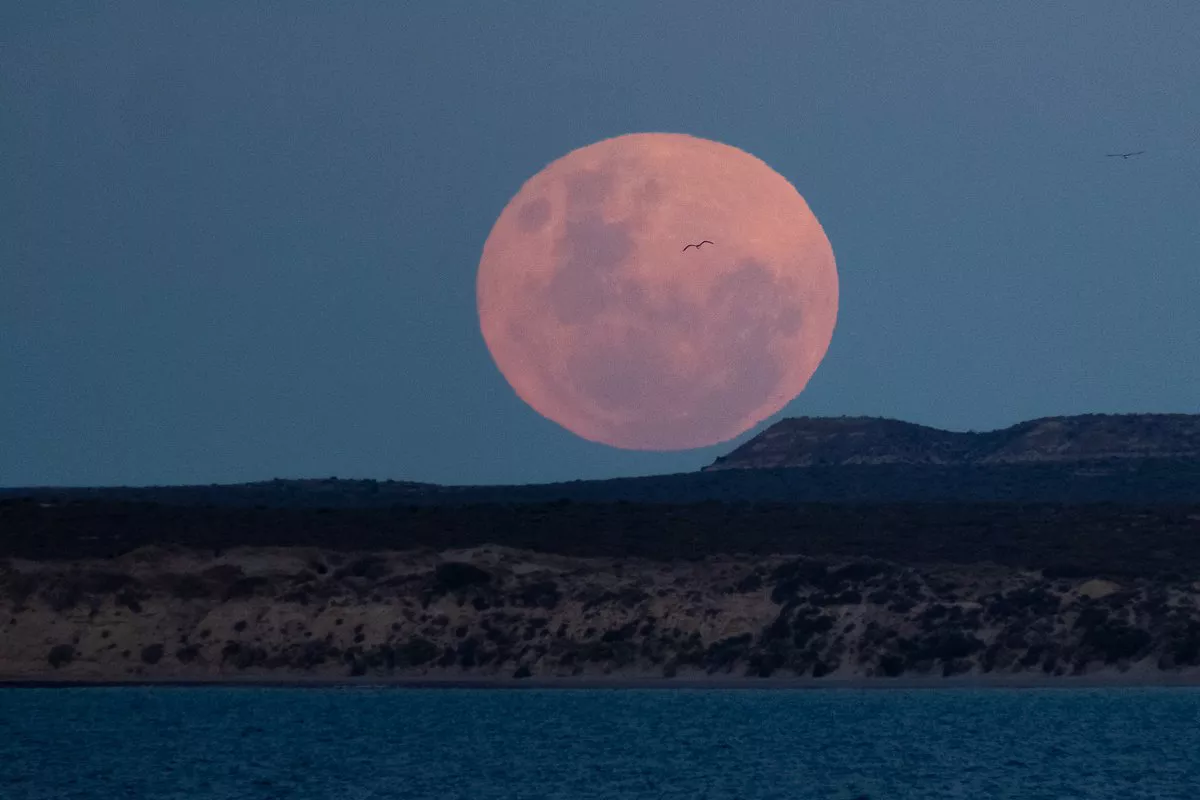 Luna llena en Madryn por Darío Sander en Facebook