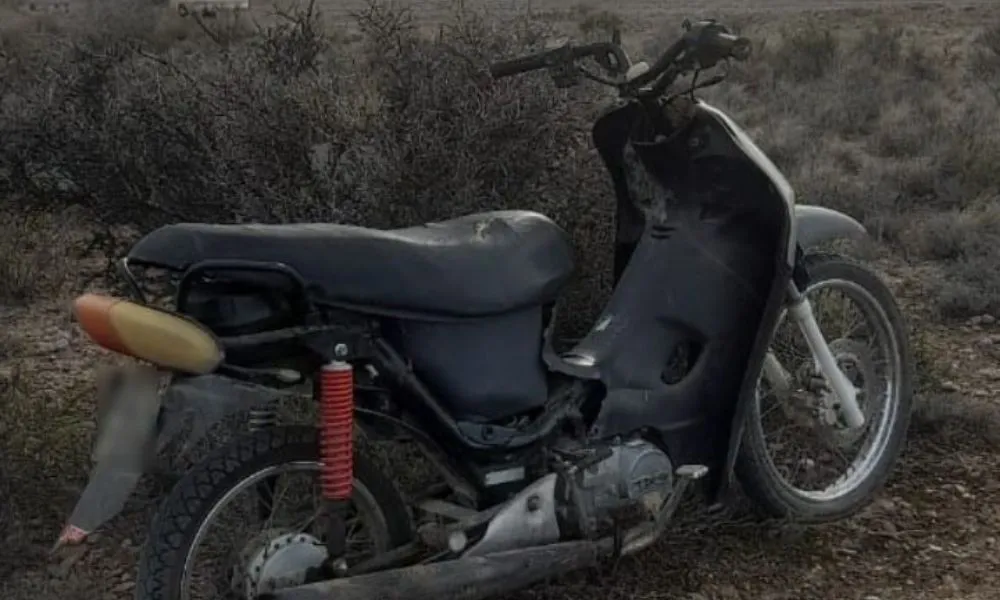 Moto robada escondida entre arbustos en la ruta