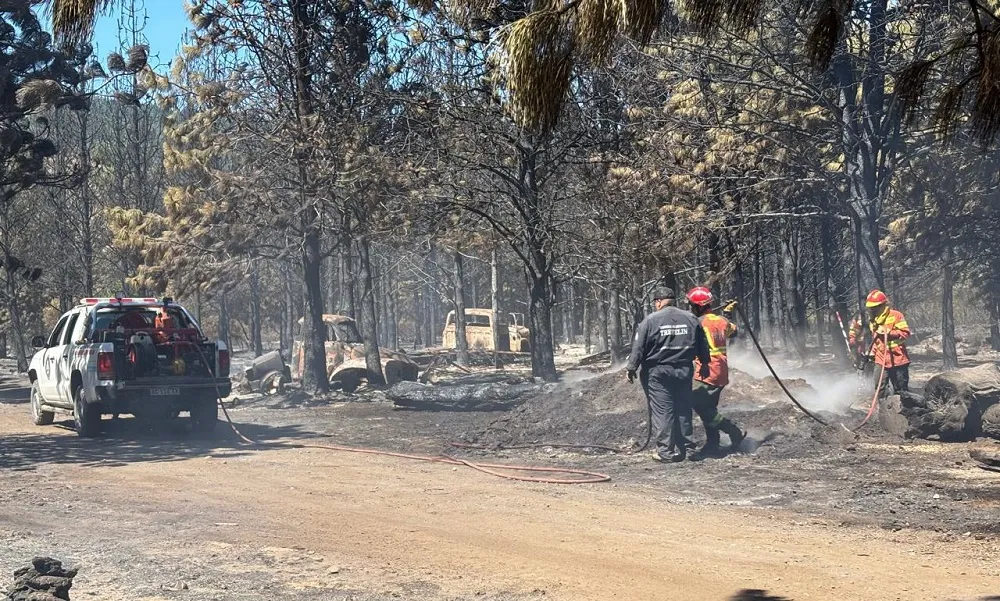 incendio cipreses_11zon