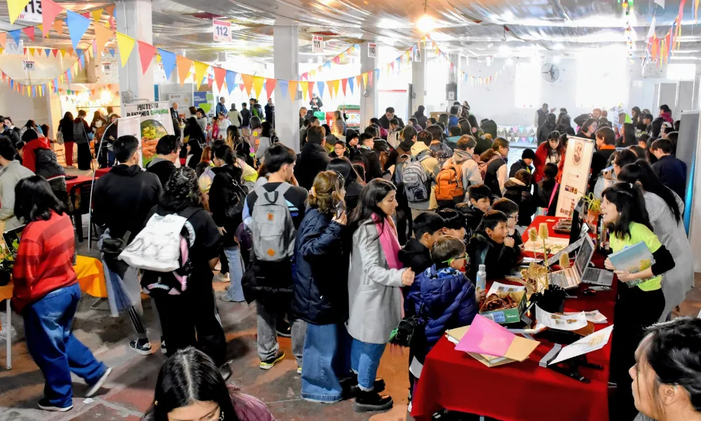Expo ambiente