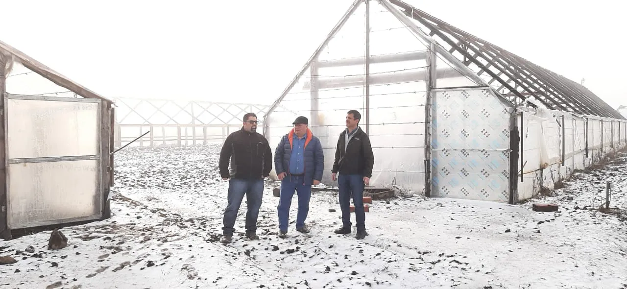 Chubut Impulsa la Producción de Hortalizas en 26 Comunidades y Organizaciones