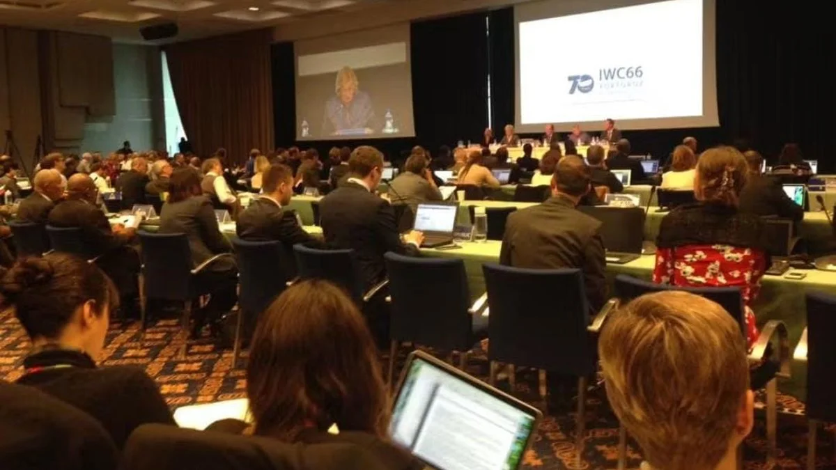 Miguel Bottazzi en el Plenario de la Comisión Ballenera