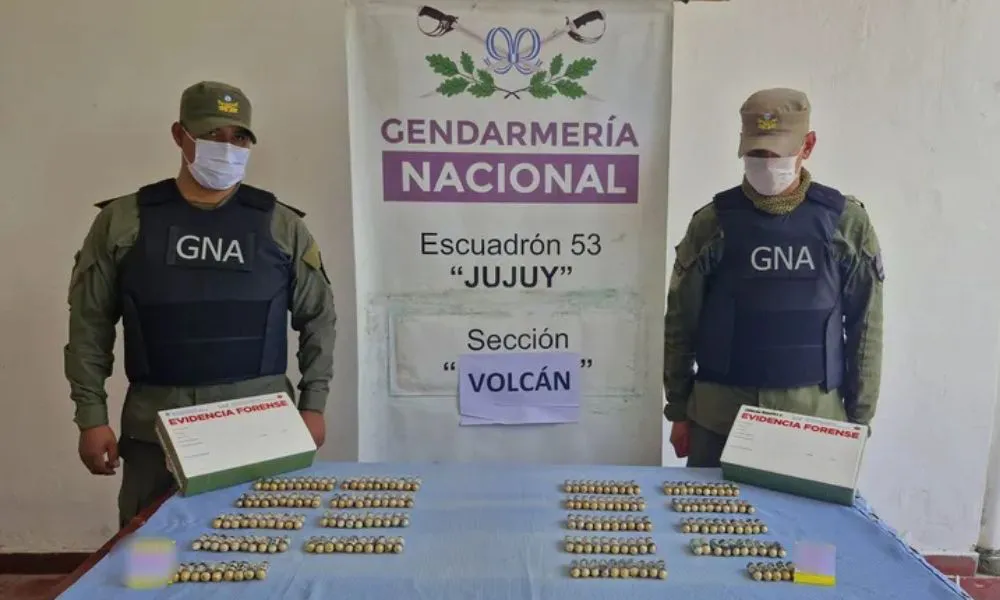 Mulas en Volcan