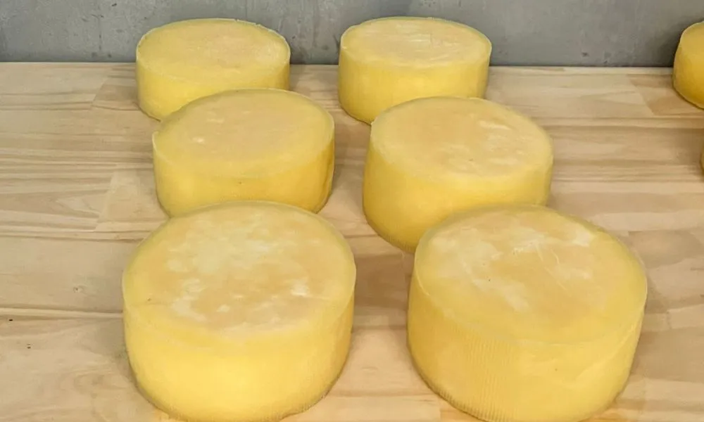 Sala de Elaboración de Quesos Artesanales