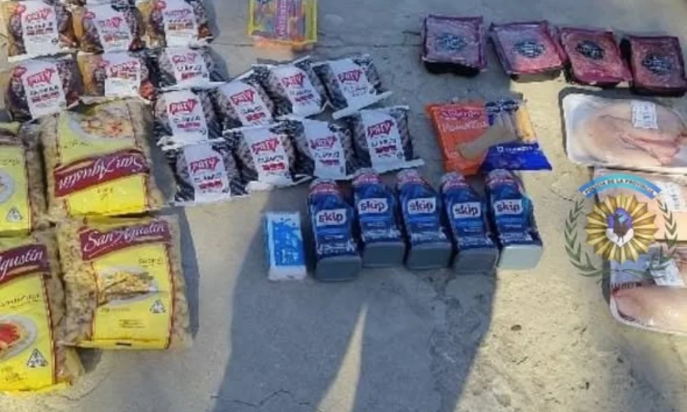 Hamburguesas, carne picada, lengua vacuna y jabones líquidos formaban parte de lo incautado.