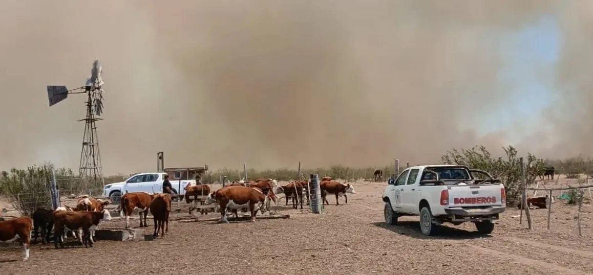 regional bomberos