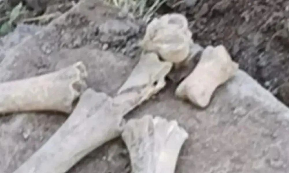 DESCUBREN RESTOS ÓSEOS MIENTRAS HACÍAN UNA ZANJA (1)