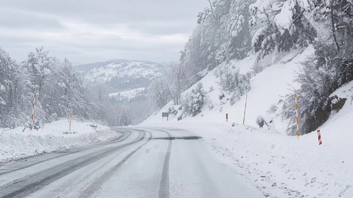 Nieve en Cordillera