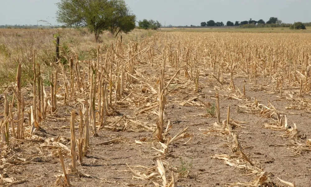 Sequía en Santa Fe