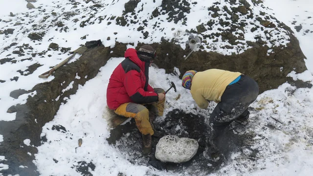 Antártida