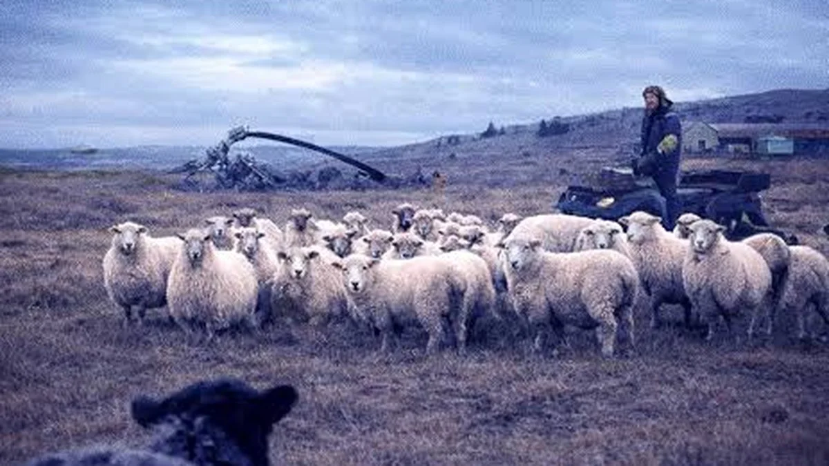 Documental "Los Vencedores". Foto IMDb
