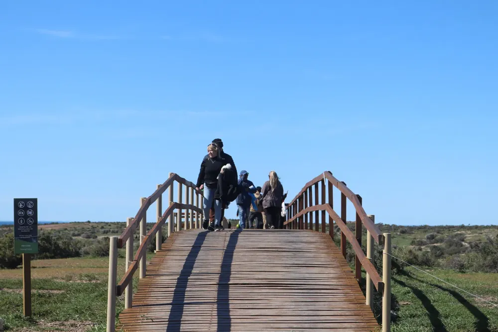 Punta Tombo