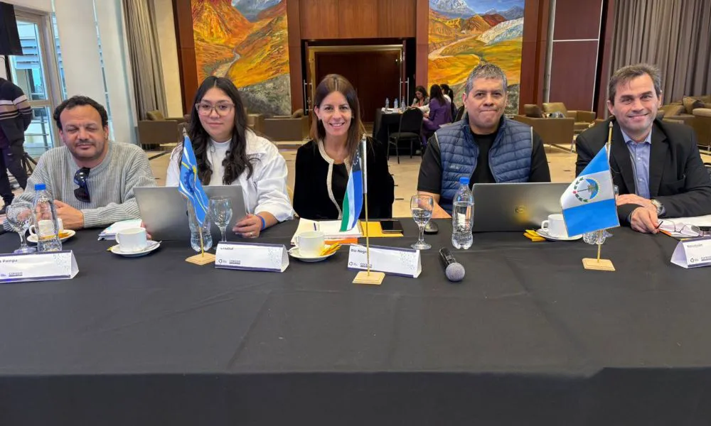 Chubut en el Consejo Federal de Discapacidad