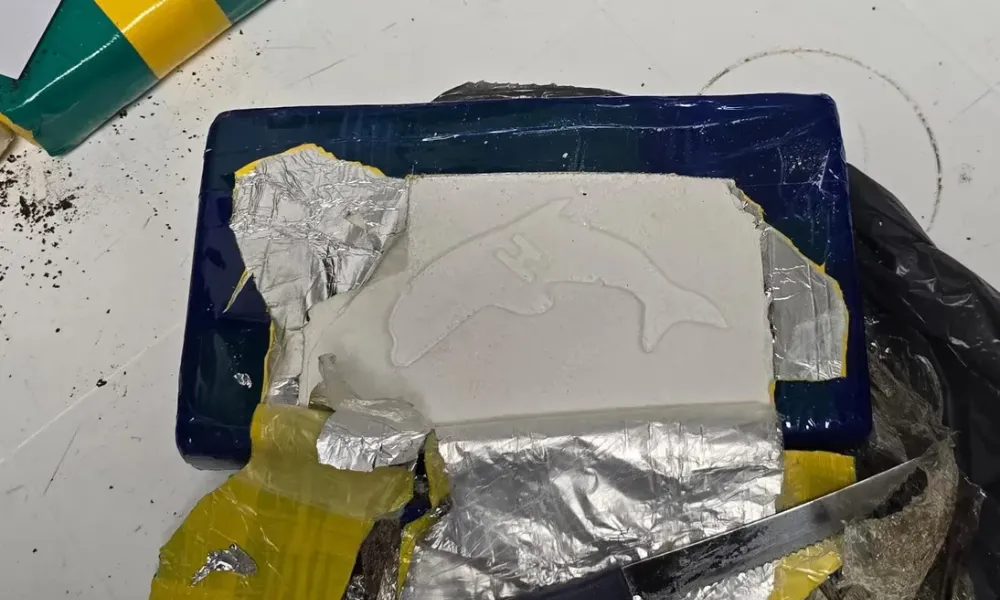 Cocaína transportada