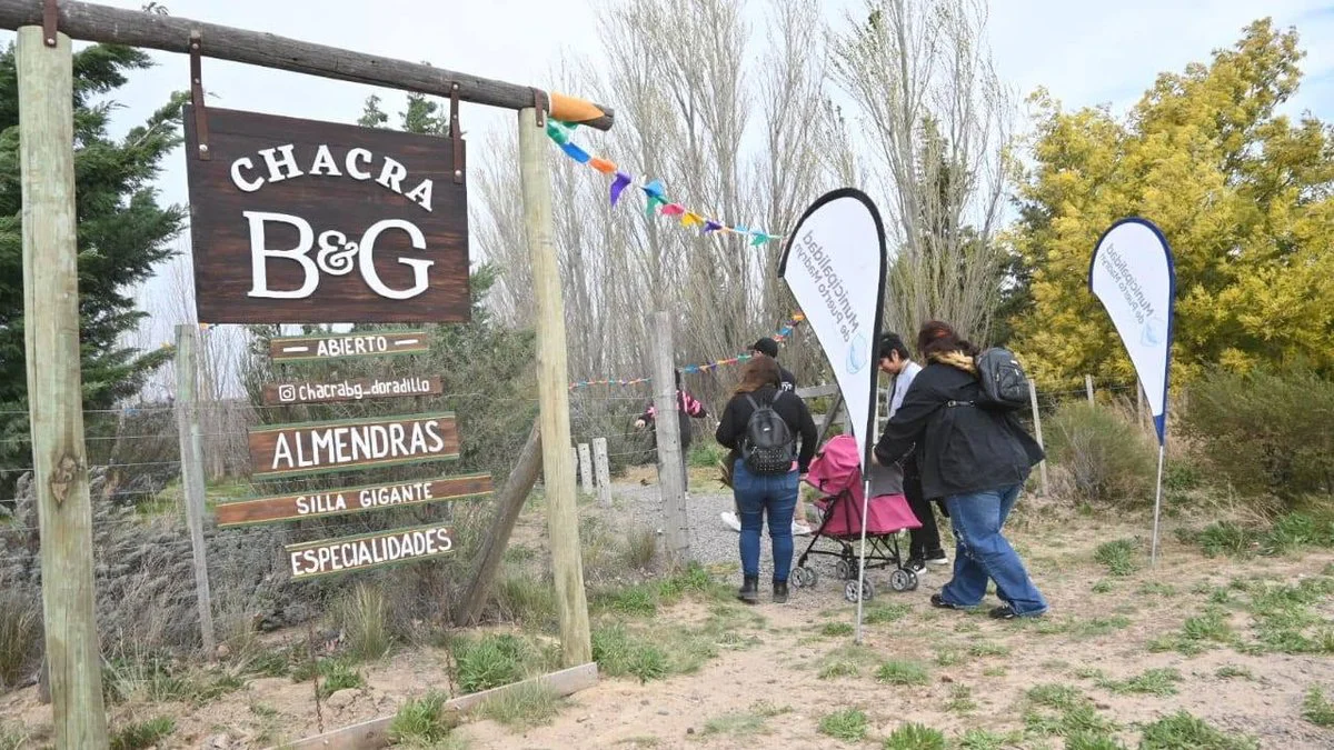 Feria Gastronómica en El Doradillo