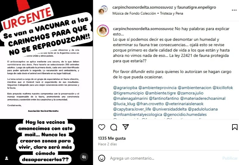 Carpinchos Nordelta Carpinchos Nordelta