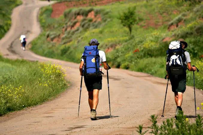 Camino de Santiago de Compostela