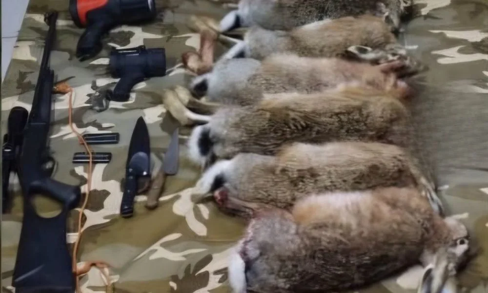 Secuestran una carabina a tres cazadores en Trevelin