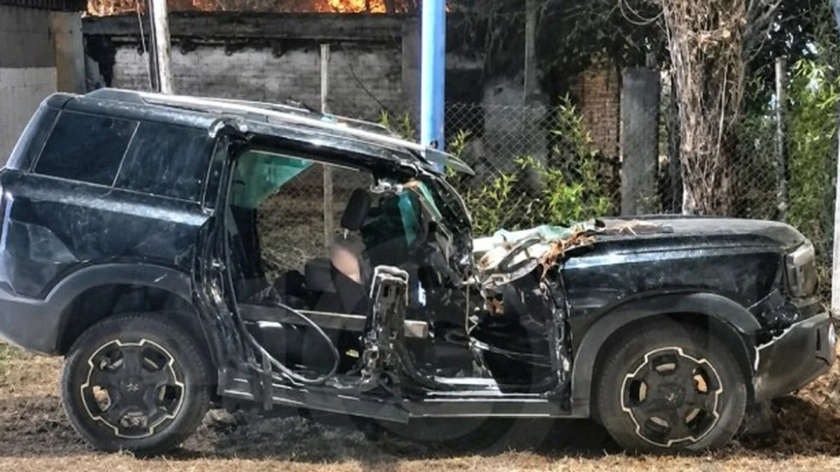 Vehículo siniestrado por la caída de un árbol en Mendoza. Foto Del Mar Digital