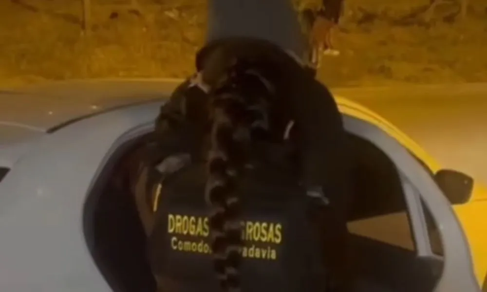 Rescataron en Comodoro Rivadavia a dos jóvenes víctimas de trata de personas durante un operativo