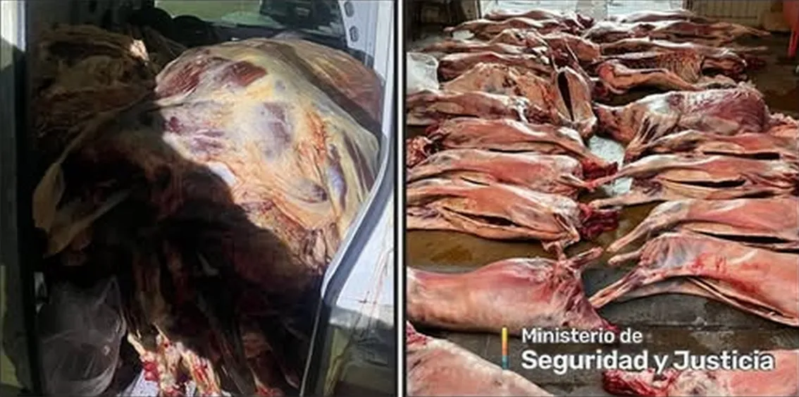 Carne decomisada
