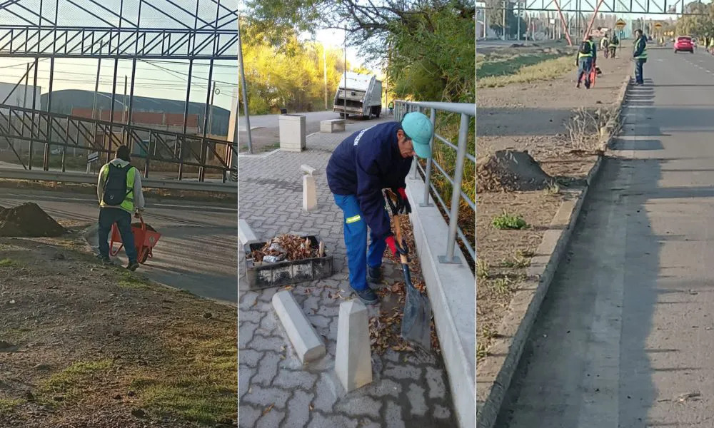 Tareas de limpieza en Trelew
