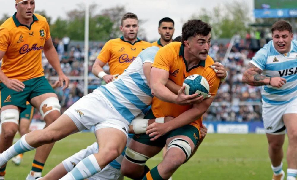 Los Pumas.