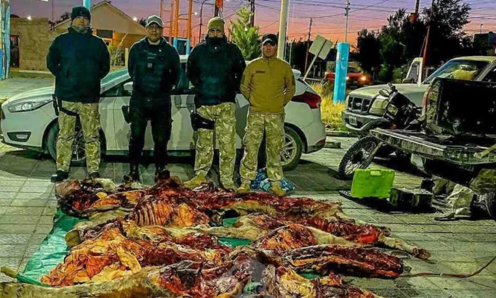 Operativo rural en cercanías de Pico Truncado