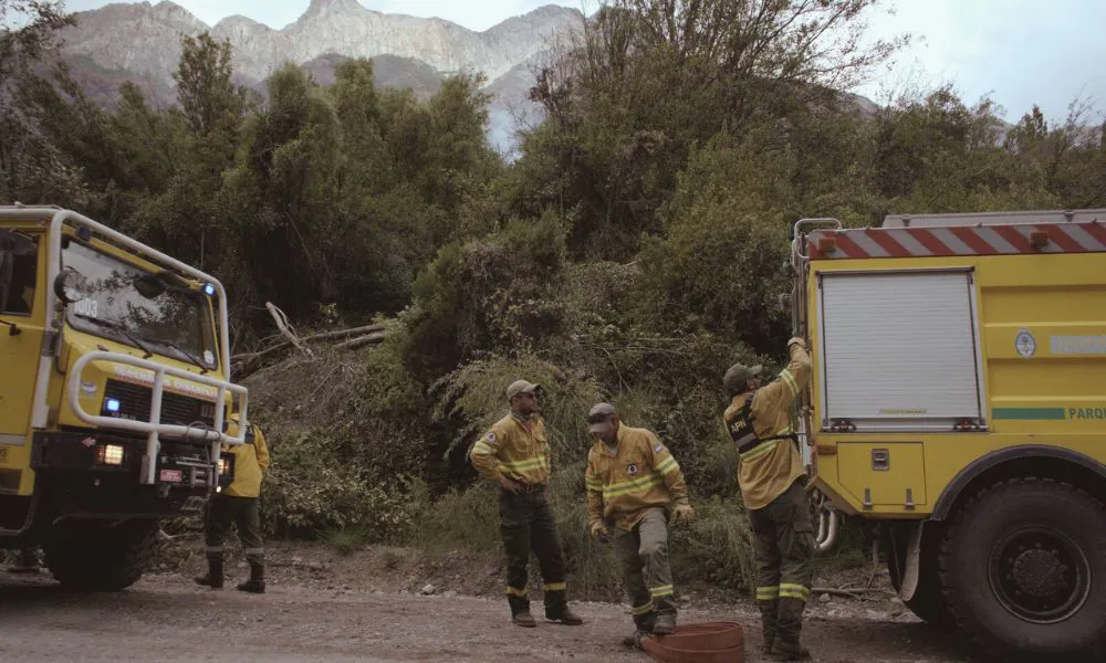 Incendio en Parque Nacional Los Alerces