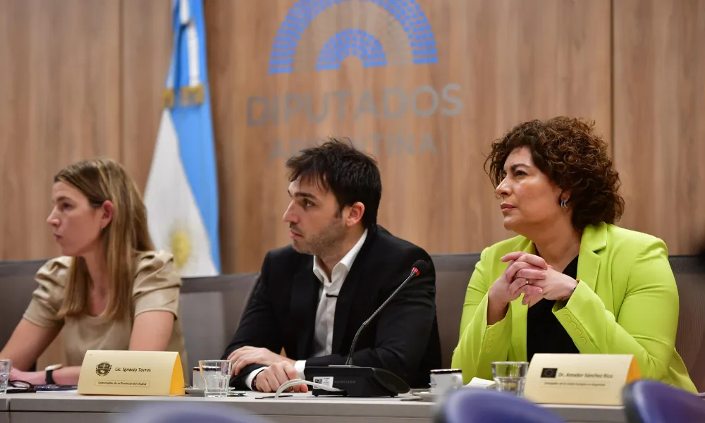 Torres en diputados defendio la industria del hidrogeno verde