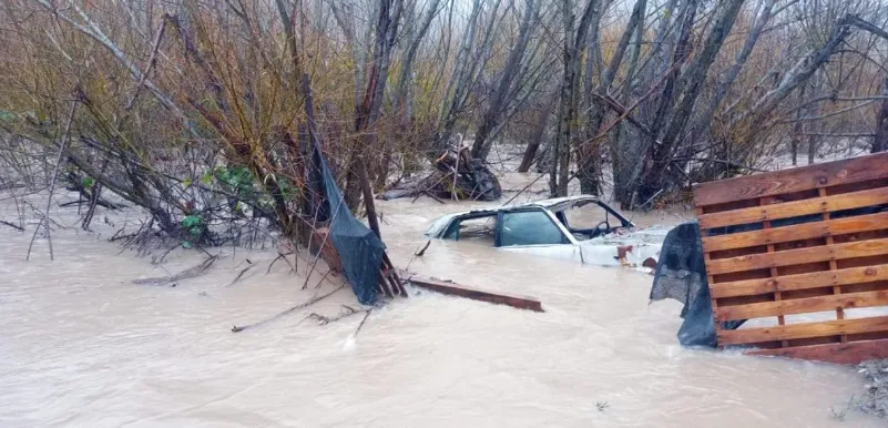 LLUVIA LAGO PUELO