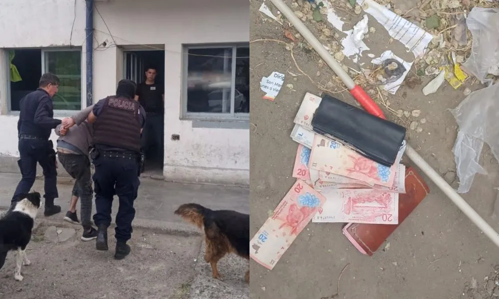 Delincuente detenido por robo de billetera