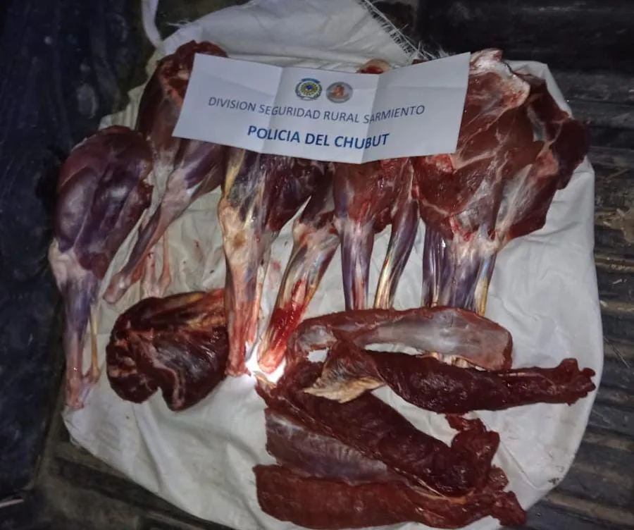 Decomisaron-carne-de-guanaco-en-Ruta-Provincial-No-24