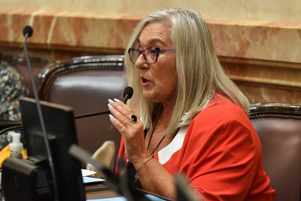 senadora Terenzi