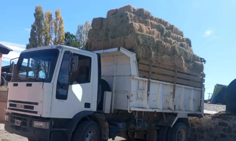 Fardos de pasto enviados a Epuyén