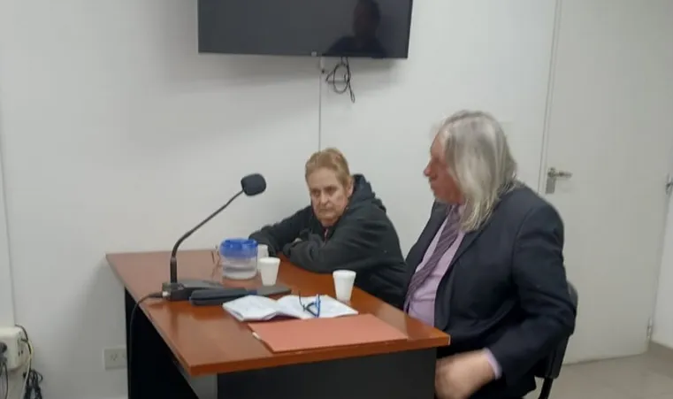 perros audiencia