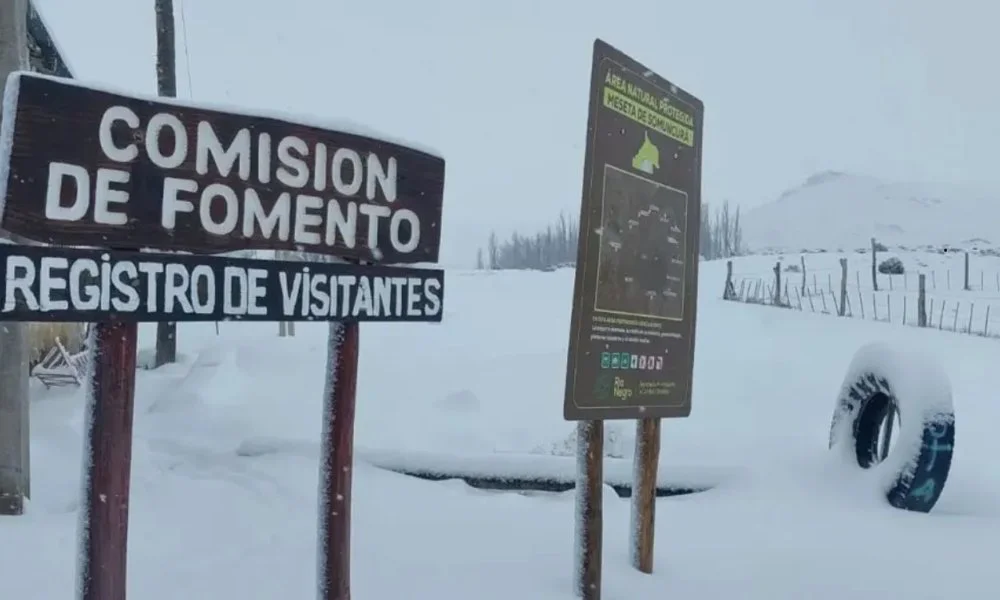 Gentileza RN