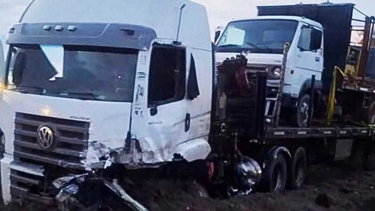 El chofer del camion dio positivo para cocaina y marihuana