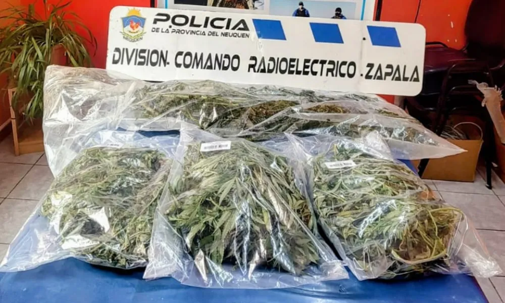 Marihuana
