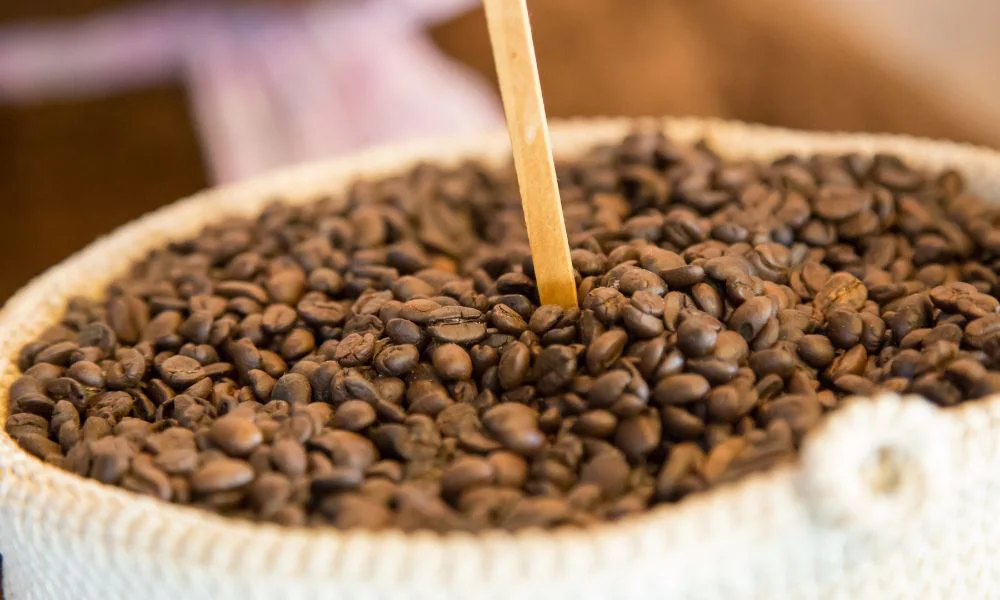 Granos de café. Foto Magnific