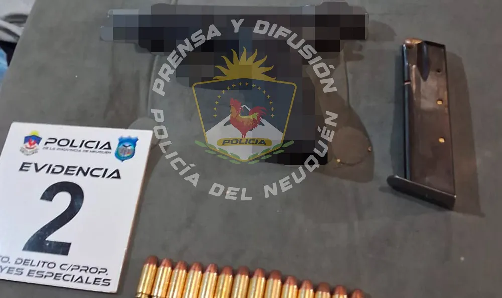 Armas secuestradas en Neuquén