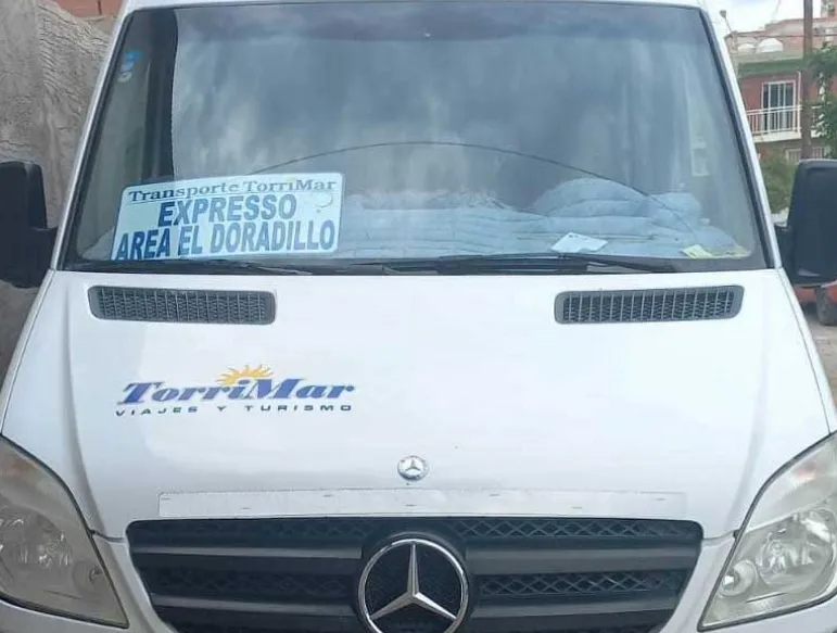 transporte doradillo