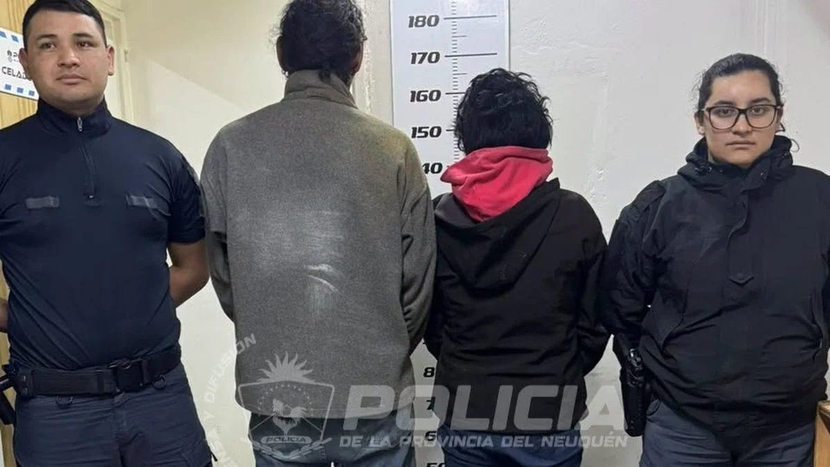 Detienen a dos personas en Neuquén por robar chapas
