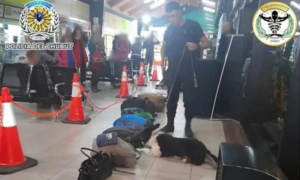 operativo en la terminal de Esquel