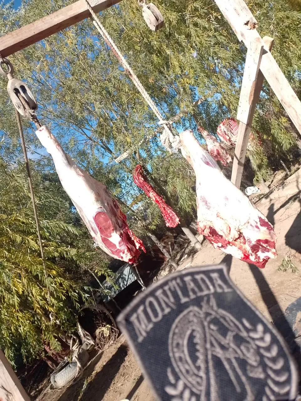 b0c97f90-0008-4c88-a00b-49259a1c8409