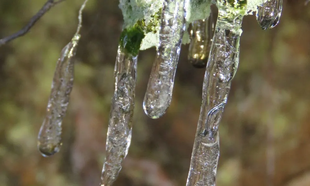 Temperaturas extremas heladas