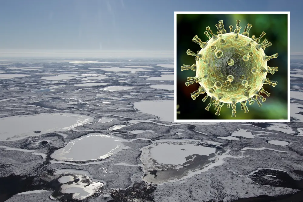 Virus