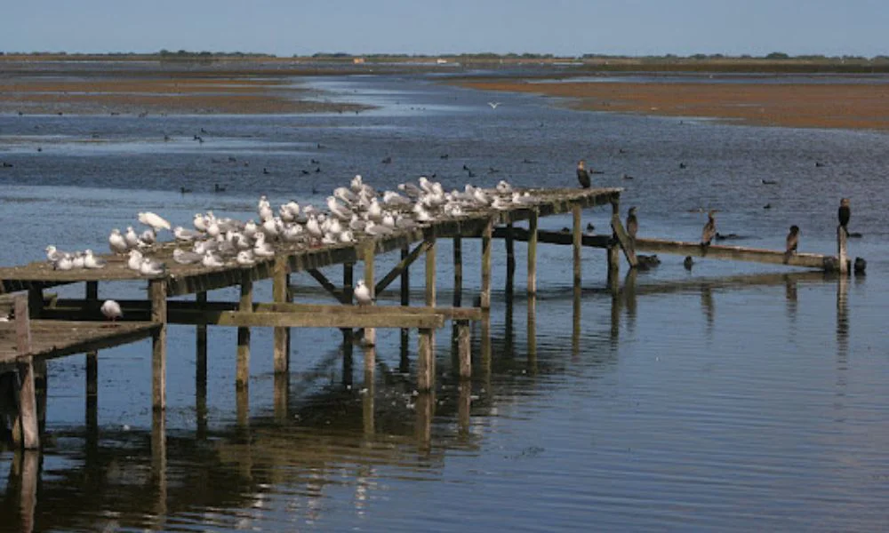 Laguna La Salada Grande