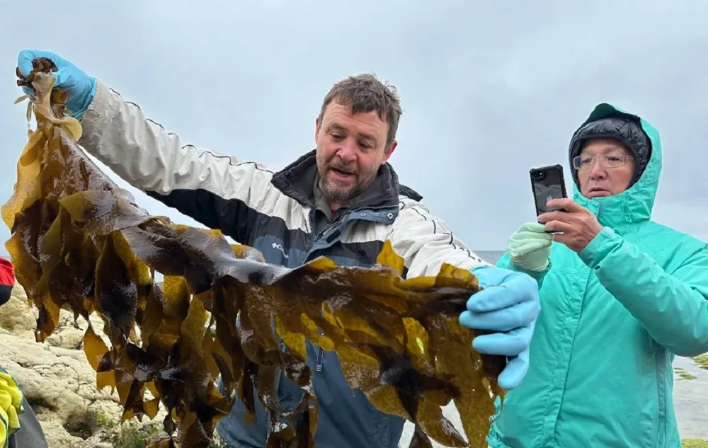 empresa japones 2_11zon